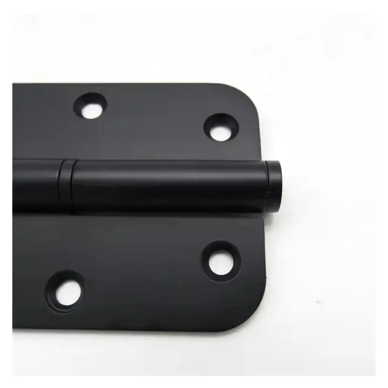 SS304 pivot door hinge.jpg