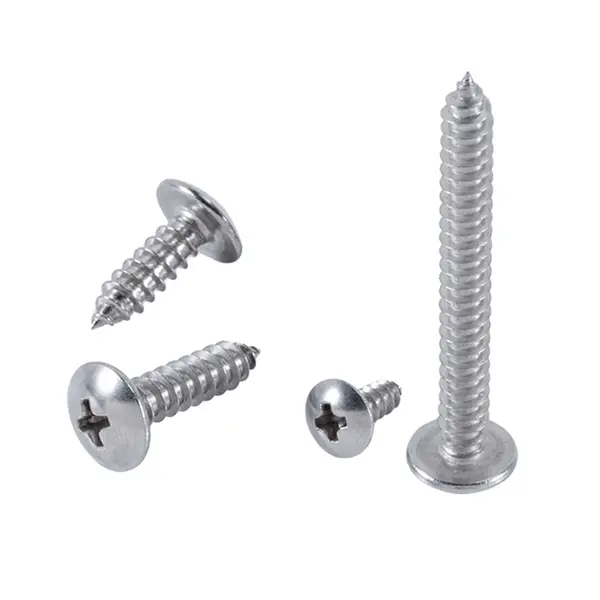 Corrosion-resistant screws.jpg