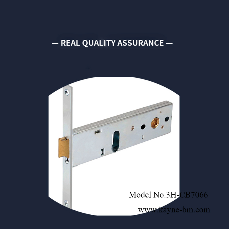 7066 HINGED DOOR LOCK 1.jpg