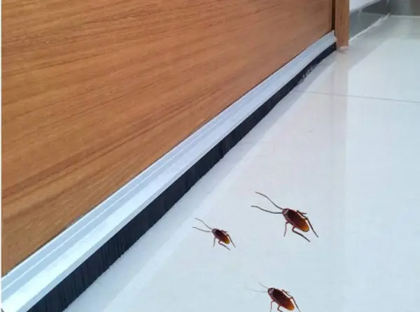 door bottom woolenb2h